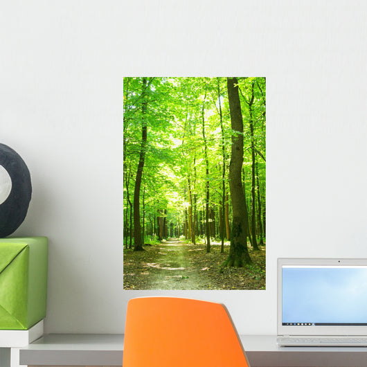 forest path Wall Mural