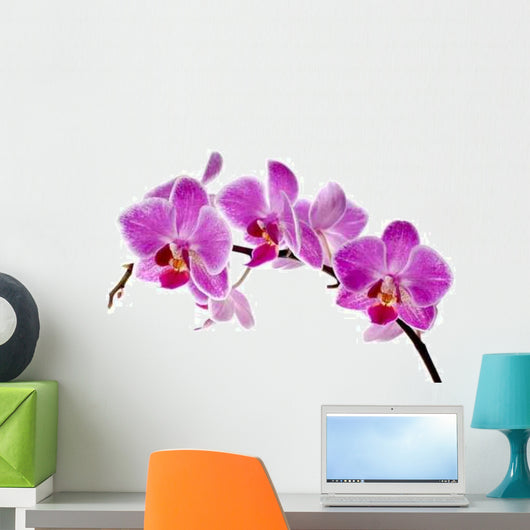 Purple Orchid Wall Decal