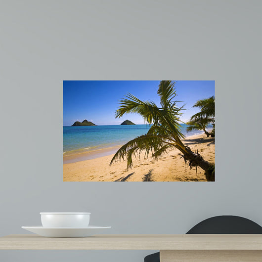 Hawaiian Beach Lanikai with