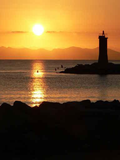 Lever Soleil Naccinaggio Wall Decal