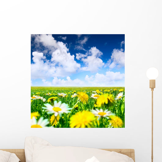 Meadow with flowers Wall Mural