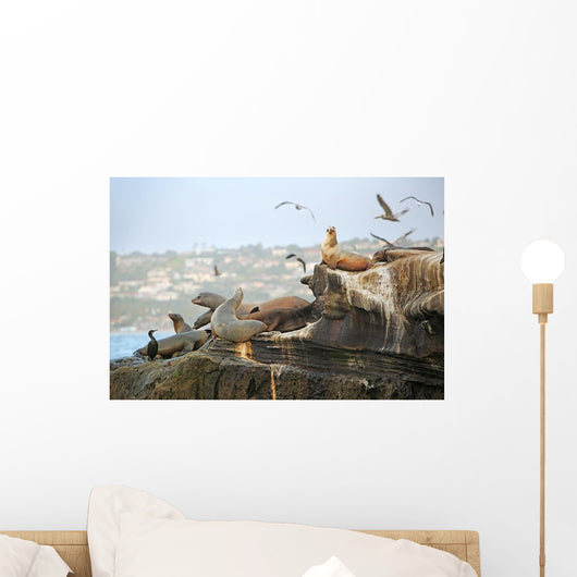 Children's Pool La Jolla Wall Decal