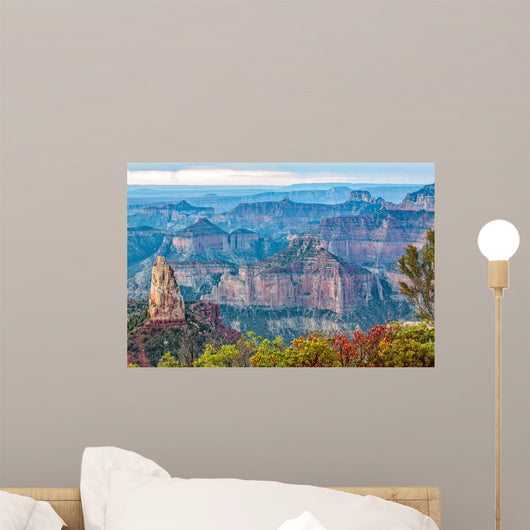 Grand Canyon North Rim Landscape Wall Mural