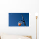 Basketball Goal
