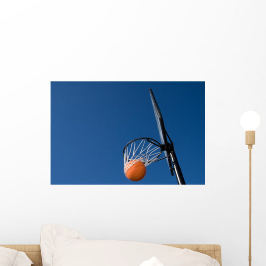 Basketball Goal
