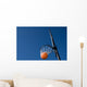 Basketball Goal