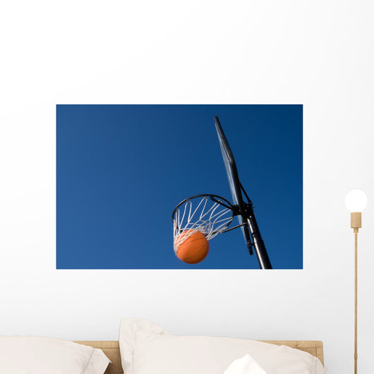 Basketball Goal