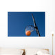 Basketball Goal