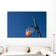 Basketball Goal