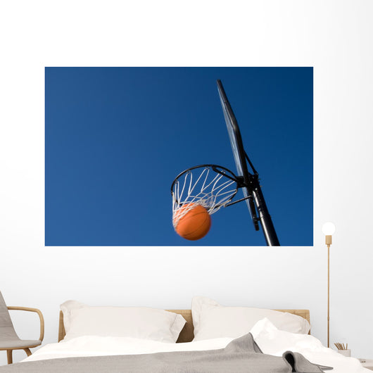 Basketball Goal