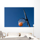 Basketball Goal