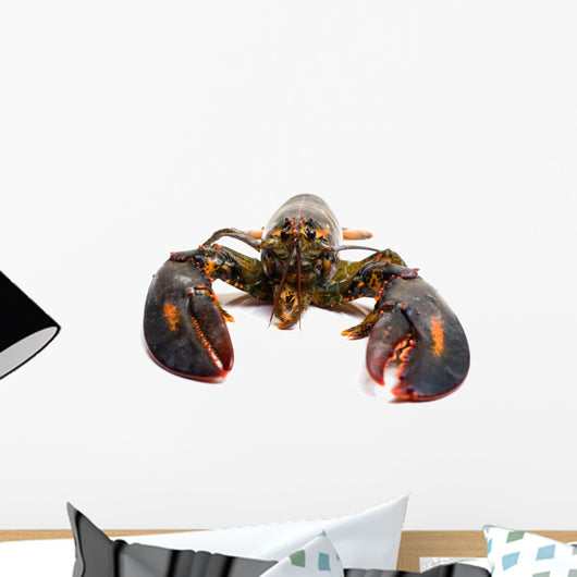 Lobster Wall Mural