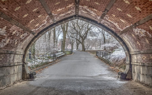 Archway Central Park Wall Mural
