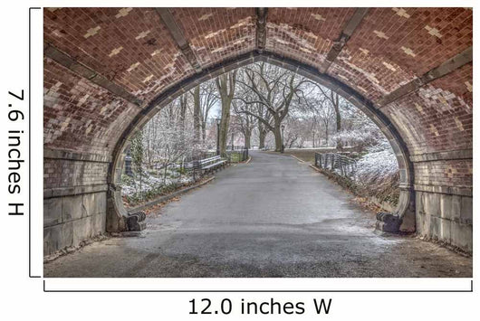Archway Central Park Wall Mural