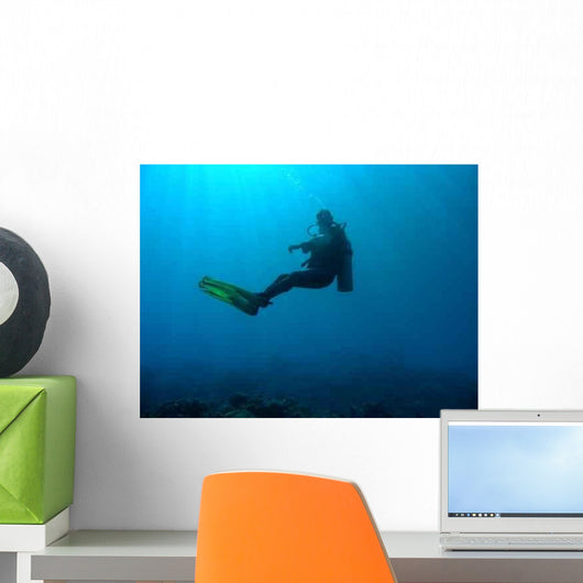 Divers Wall Decal