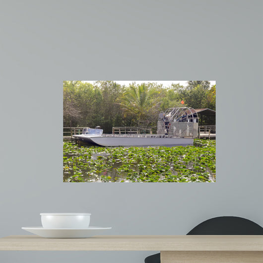 Air-boat in the swamp Wall Mural