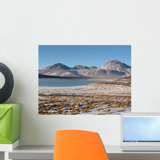 Konica Minolta Digital Camera Wall Decal Design 9