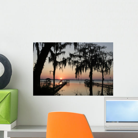 Old Florida Wall Mural