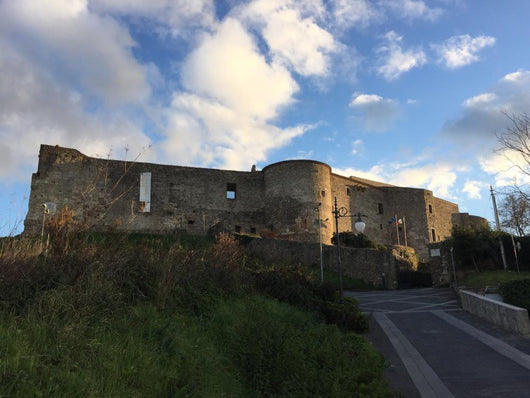 Castello Normanno Svevo, Vibo Valentia, Calabria, Italia Wall Mural