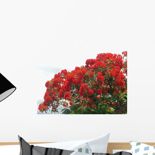 Flamboyant Des Les Wall Decal