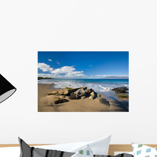 Pile of Rocks on a Tropical Beach Wall Mural
