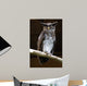 Owl Wall Mural