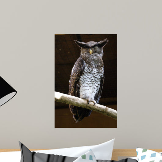 Owl Wall Mural
