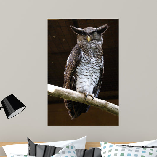 Owl Wall Mural