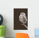 Burrowing Owl Wall Mural