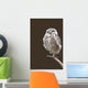 Burrowing Owl Wall Mural