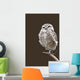 Burrowing Owl Wall Mural