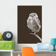 Burrowing Owl Wall Mural