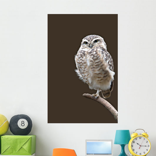 Burrowing Owl Wall Mural