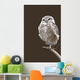 Burrowing Owl Wall Mural