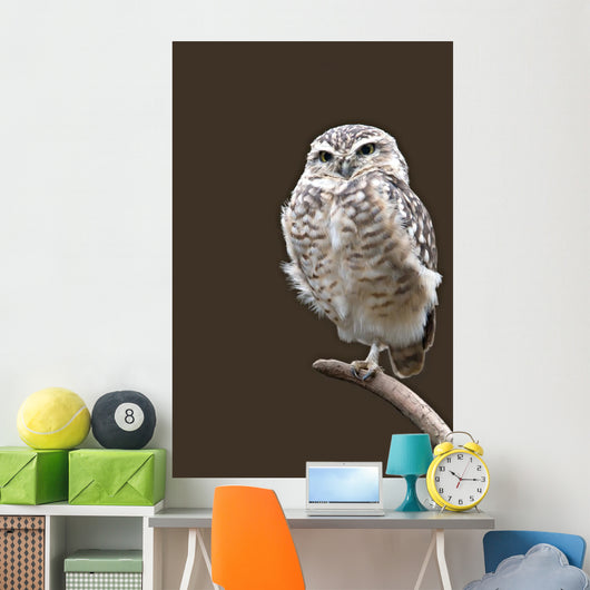 Burrowing Owl Wall Mural
