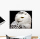 Snowy Owl Wall Mural
