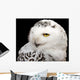 Snowy Owl Wall Mural