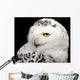 Snowy Owl Wall Mural