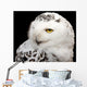 Snowy Owl Wall Mural