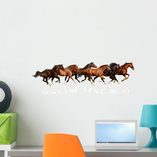 Herd Gallops Wall Mural