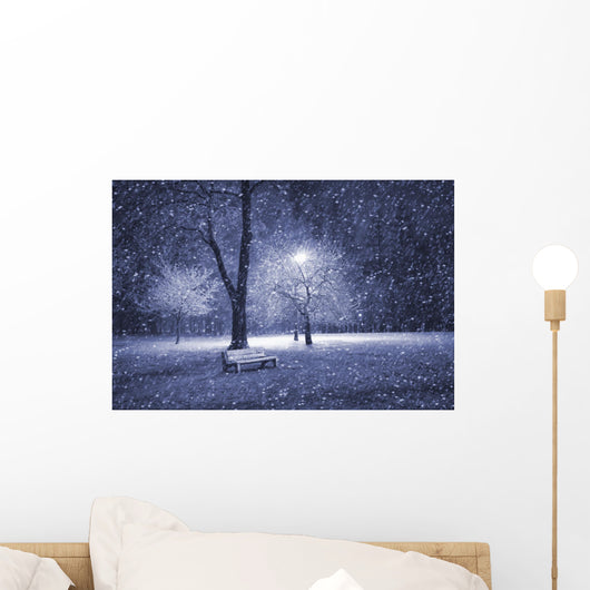 Winter park at night Wall Mural
