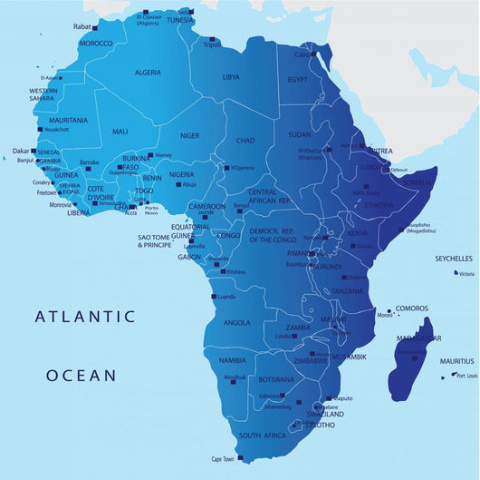 Political Map Africa Wall Mural