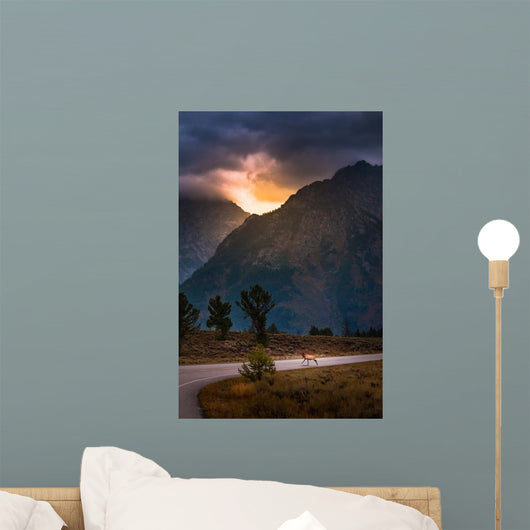 Grand Teton Elk Wall Mural