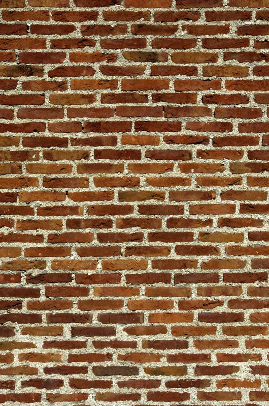 Brick Wall Wall Mural