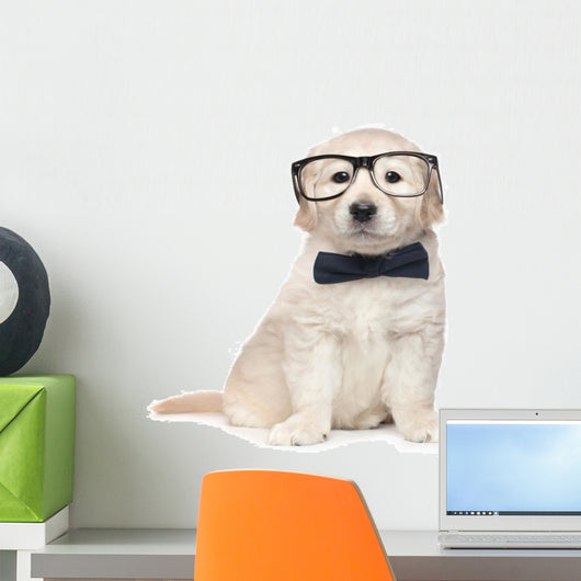 Smart Elegant Golden Retriever Puppies Wall Decal