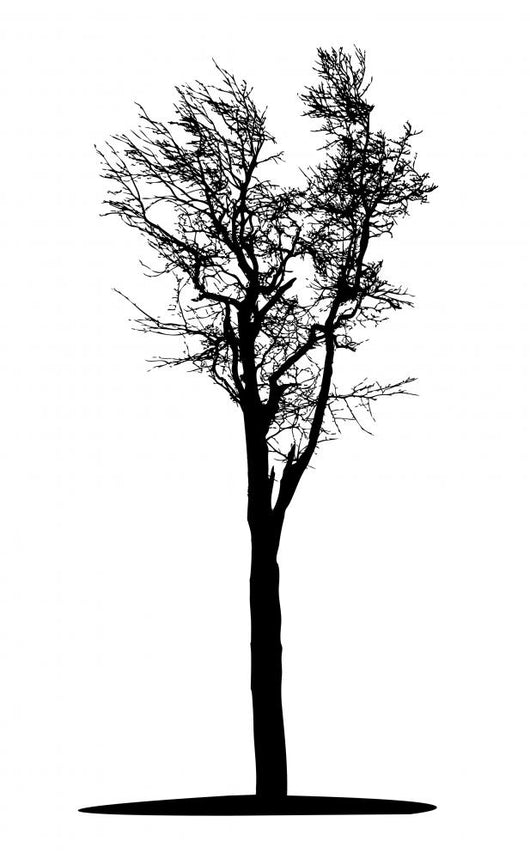 Black Tree Wall Decal