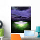 Night Scene Ufo Wall Mural