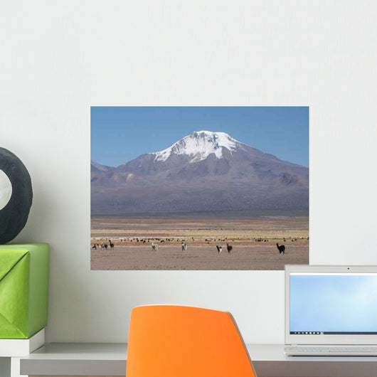 Konica Minolta Digital Camera Wall Decal Design 7