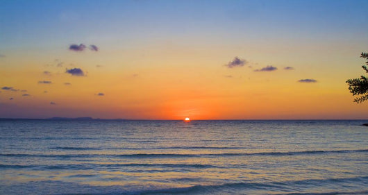 Tropical Sunrise Wall Mural