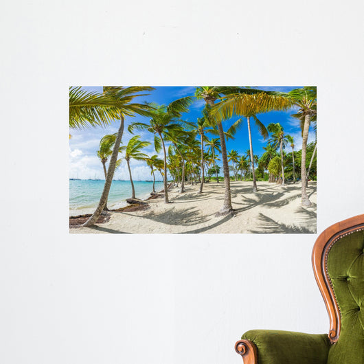 Tropical French Island Wall Mural